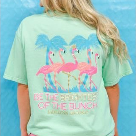 Jadelynn Brooke Tops - NWT Jadelynn Brooke T-Shirt with Flamingos